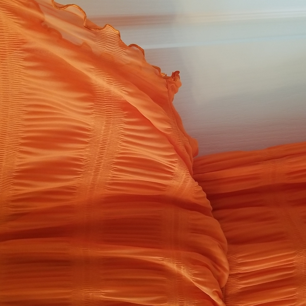Signature by Robbie Bee Orange Chiffon Dress - Picture 4 of 6